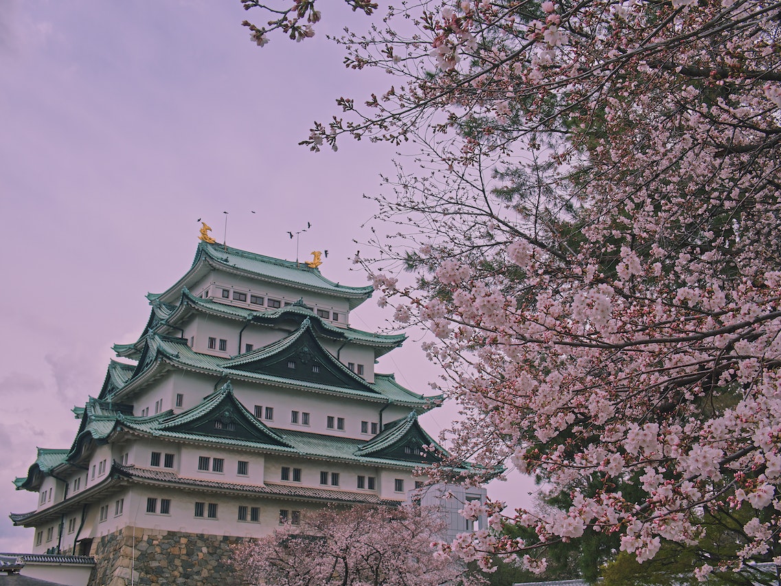 日本實況